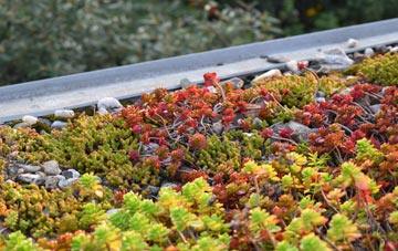the cost of Jacks Hatch green roof installation